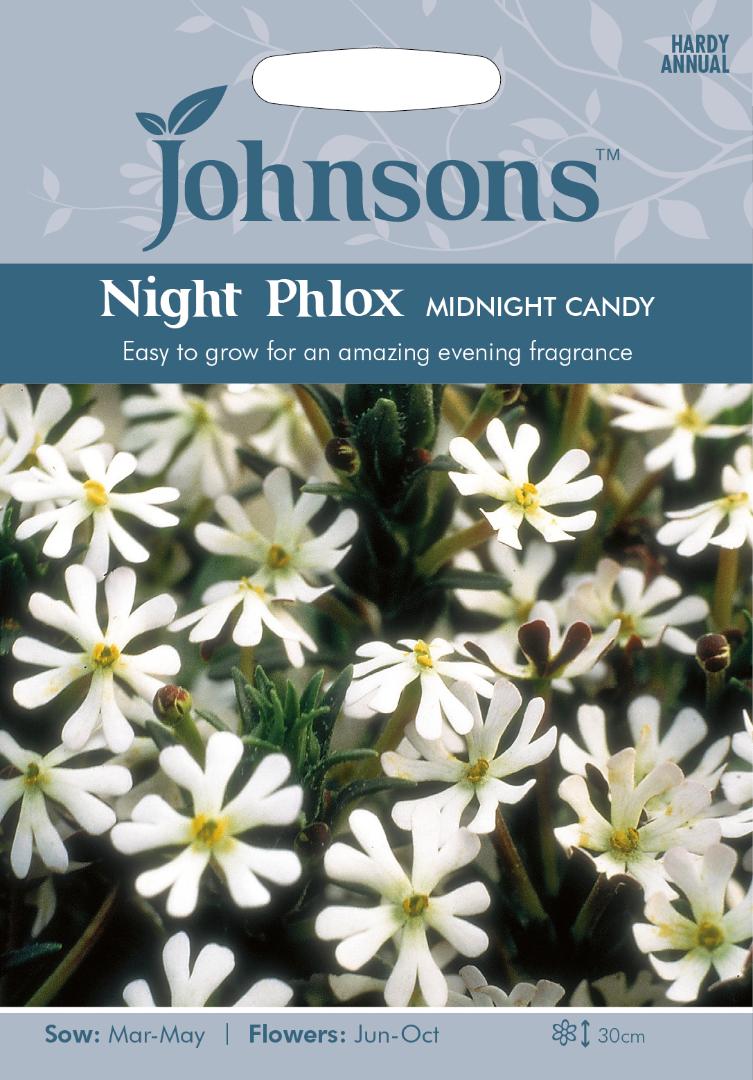 Night Phlox Midnight Candy