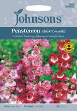 Load image into Gallery viewer, Penstemon Sensation Mixed
