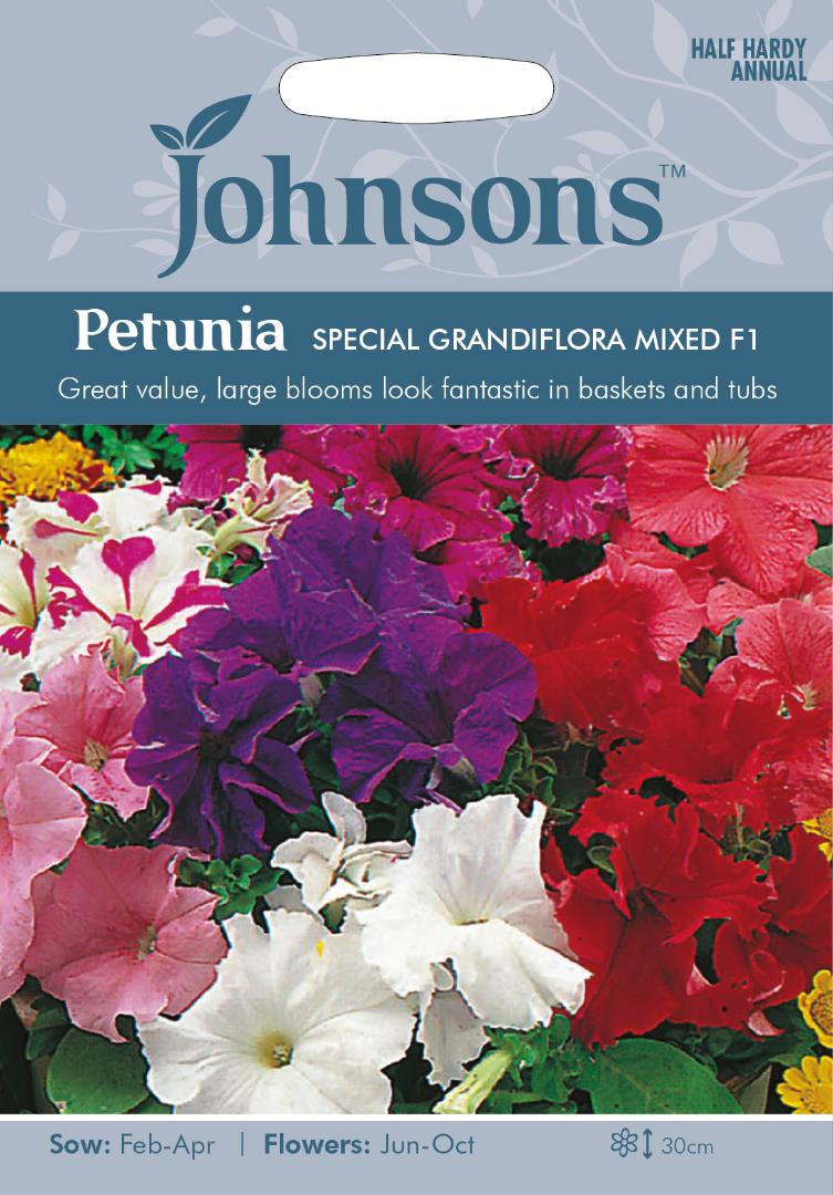 Petunia Special Grandiflora Mixed F1