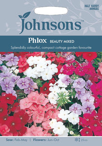 Phlox Beauty Mixed