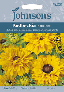 Rudbeckia Goldilocks