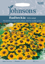 Load image into Gallery viewer, Rudbeckia Toto Gold

