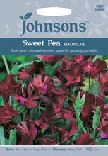 Load image into Gallery viewer, Sweet Pea Beaujolais
