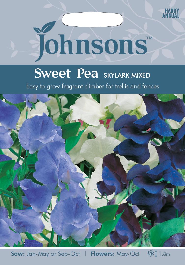 Sweet Pea Skylark Mixed