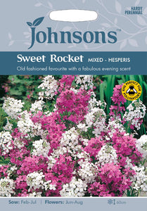 Sweet Rocket Mixed- Hesperis