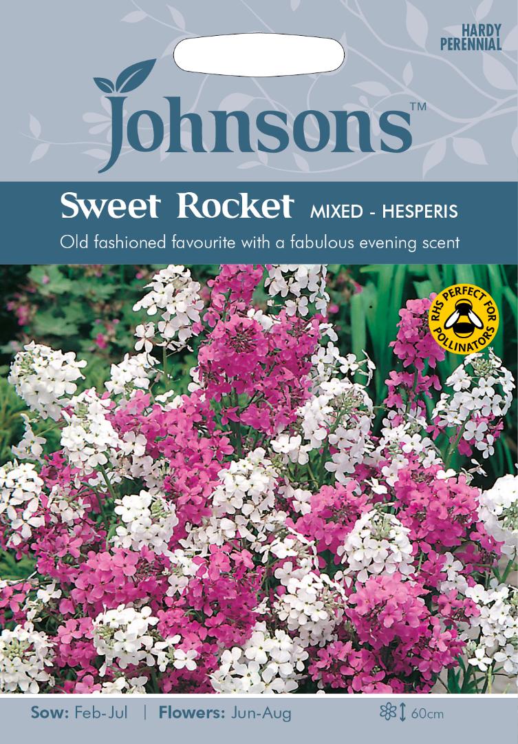 Sweet Rocket Mixed- Hesperis