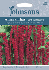 Amaranthus Love Lies Bleeding