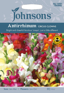 Antirrhinum Circus Clown