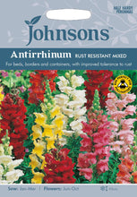 Load image into Gallery viewer, Antirrhinum Rust Resistant Mixed
