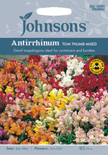 Load image into Gallery viewer, Antirrhinum Tom Thumb Mixed
