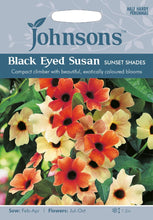 Load image into Gallery viewer, Black Eyed Susan Sunset Shades
