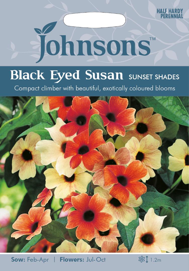Black Eyed Susan Sunset Shades