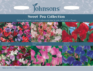 Sweet Pea Collection