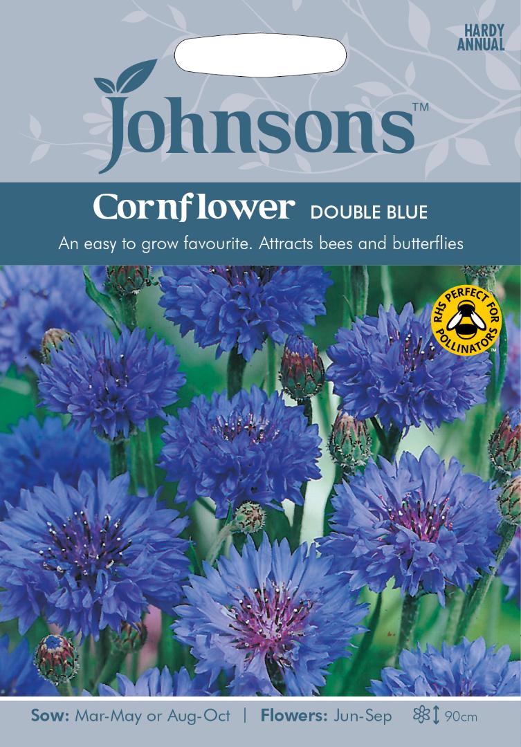 Cornflower Double Blue