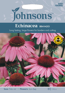 Echinacea Bravado