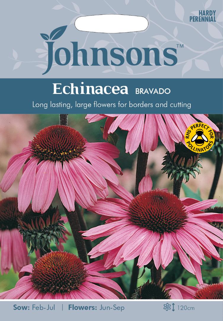 Echinacea Bravado
