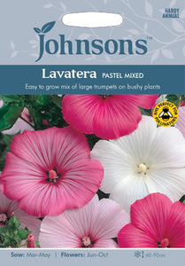 Lavatera Pastel Mixed