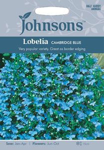 Lobelia Cambridge Blue
