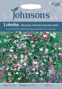 Lobelia Trailing- Colour Cascade Mixed