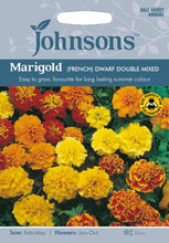 Load image into Gallery viewer, Marigold French- Dwarf Double

