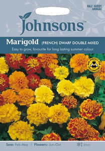 Marigold French- Dwarf Double