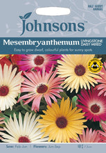 Load image into Gallery viewer, Mesembryanthemum Livingstone Daisy Mixed
