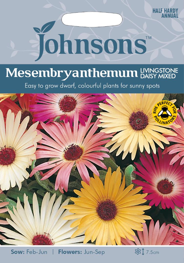 Mesembryanthemum Livingstone Daisy Mixed