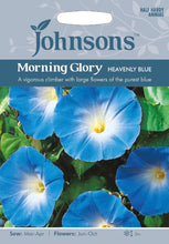 Load image into Gallery viewer, Morning Glory Heavenly Blue

