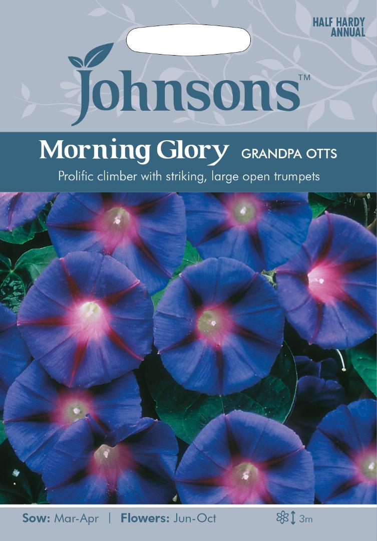 Morning Glory Grandpa Otts