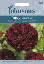 Load image into Gallery viewer, Poppy Paeony Black
