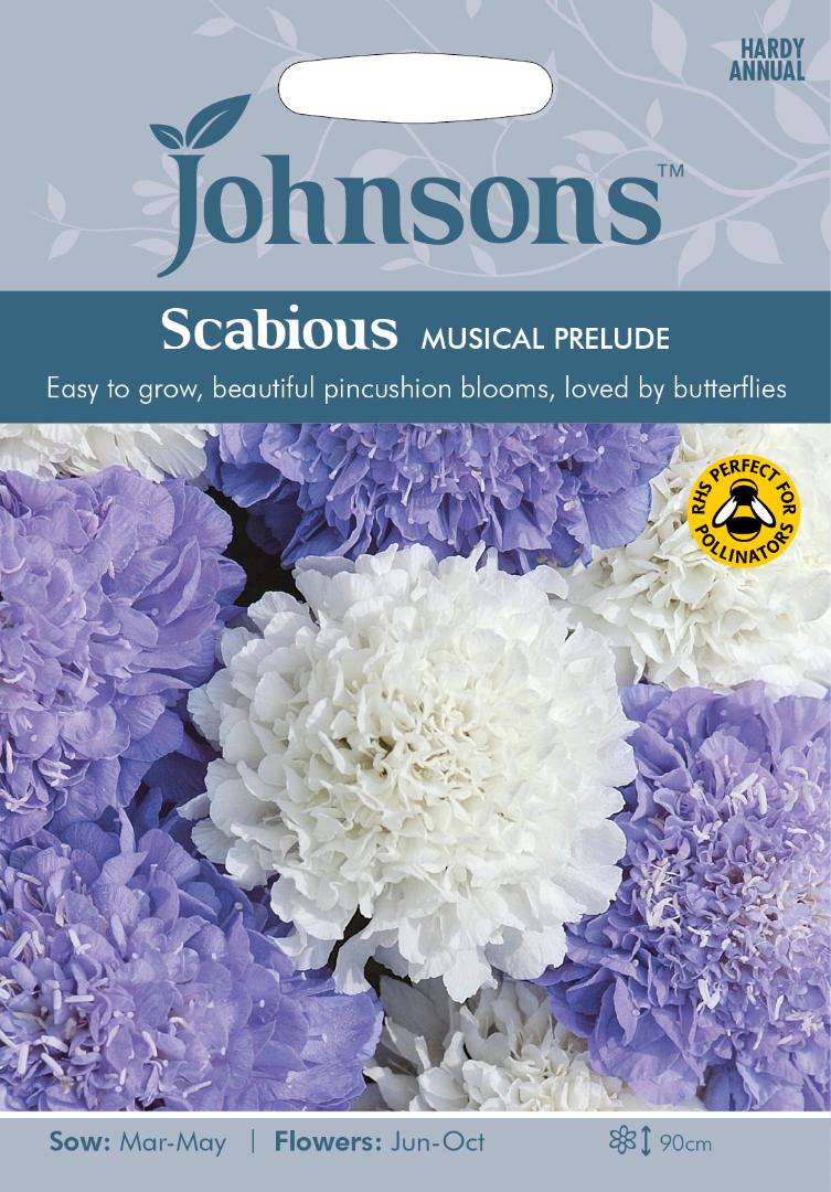 Scabious Musical Prelude