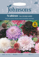 Load image into Gallery viewer, Scabious Tall Double Mixed
