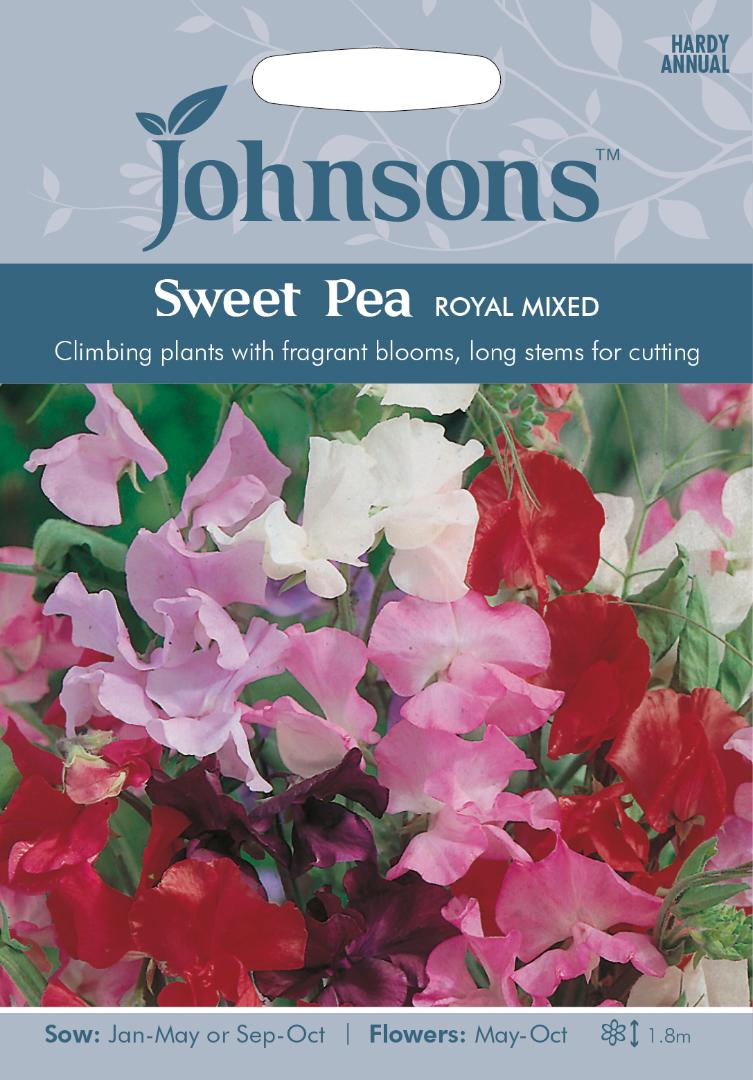 Sweet Pea Royal Mixed