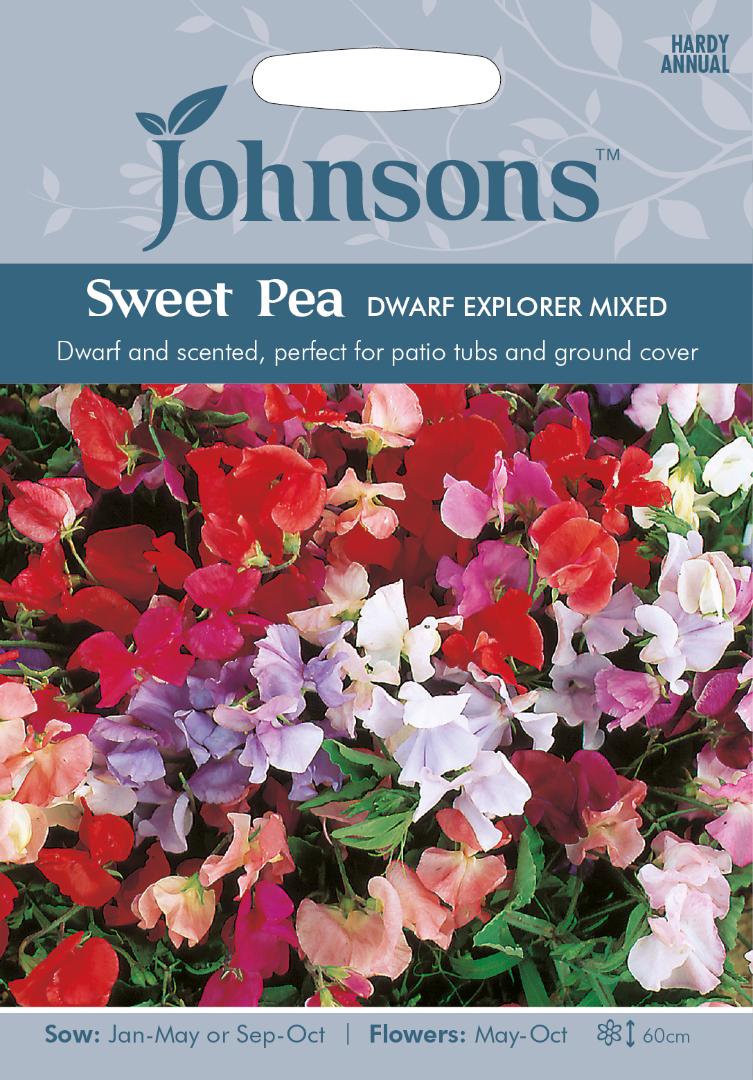 Sweet Pea Dwarf Explorer Mixed