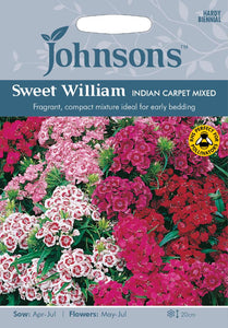 Sweet William Indian Carpet Mixed