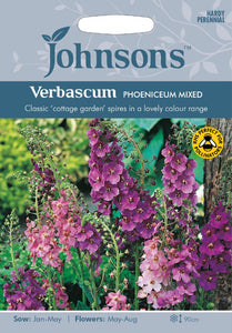Verbascum Phoeniceum Mixed