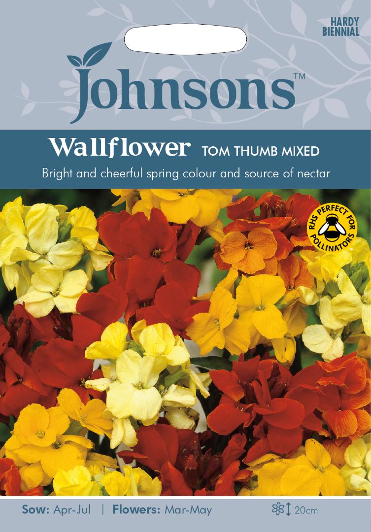 Wallflower Tom Thumb Mix