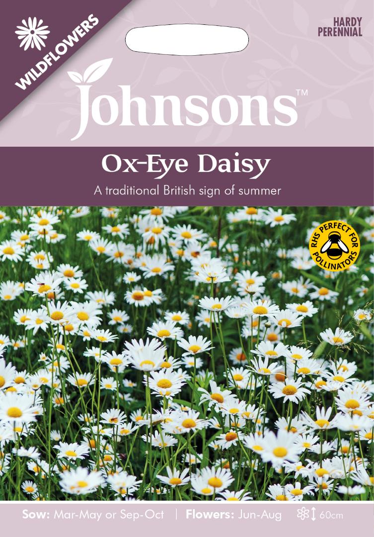 Wildflowers- Ox Eye Daisy