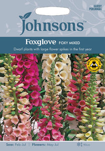 Foxglove Foxy Mixed