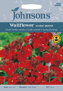 Wallflower Scarlet Bedder