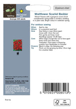Load image into Gallery viewer, Wallflower Scarlet Bedder
