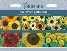 Load image into Gallery viewer, Sunflower Collection
