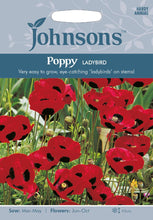 Load image into Gallery viewer, Poppy Ladybird
