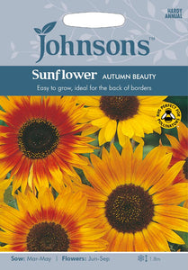 Sunflower Sunflower Autumn Beauty