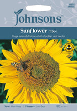 Load image into Gallery viewer, Sunflower Titan
