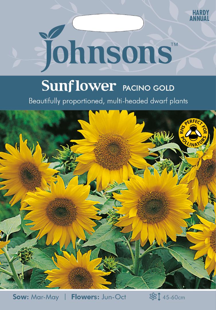 Sunflower Pacino Gold