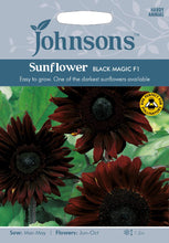 Load image into Gallery viewer, Sunflower Black Magic F1
