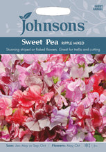 Load image into Gallery viewer, Sweet Pea Ripple Mixed
