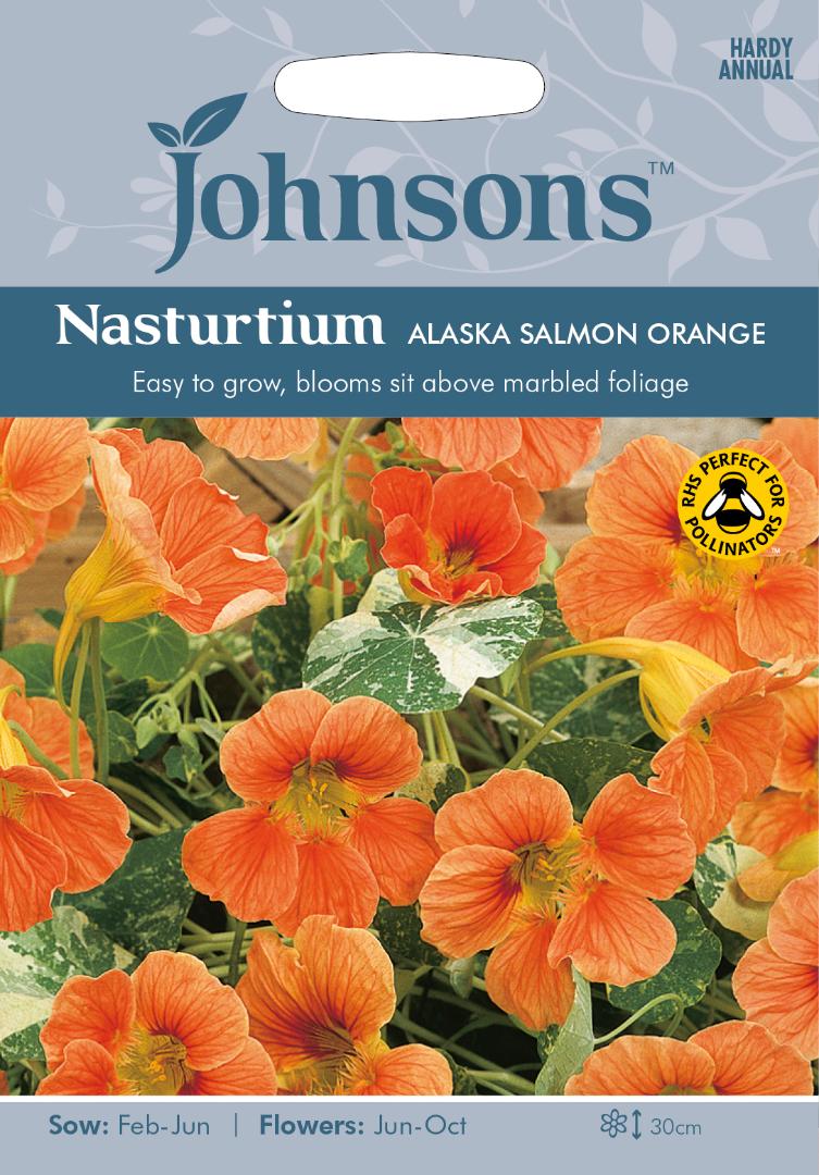 Nasturtium Alaska Salmon Orange