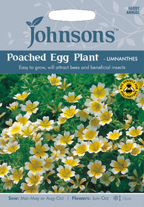 Poached Egg Plant- Limnanthes